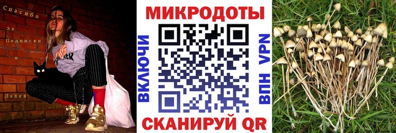 Псилоцибиновые грибы Cubensis  купить наркотики цена  Горняк 